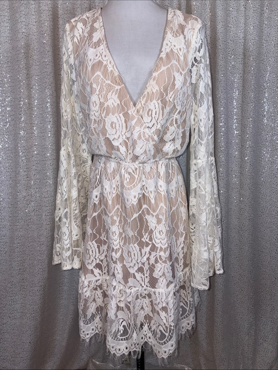 southern fried chics Dresses & Skirts - Southern Fried Chics Ivory Lace Long Sleeve V-Neck Dress